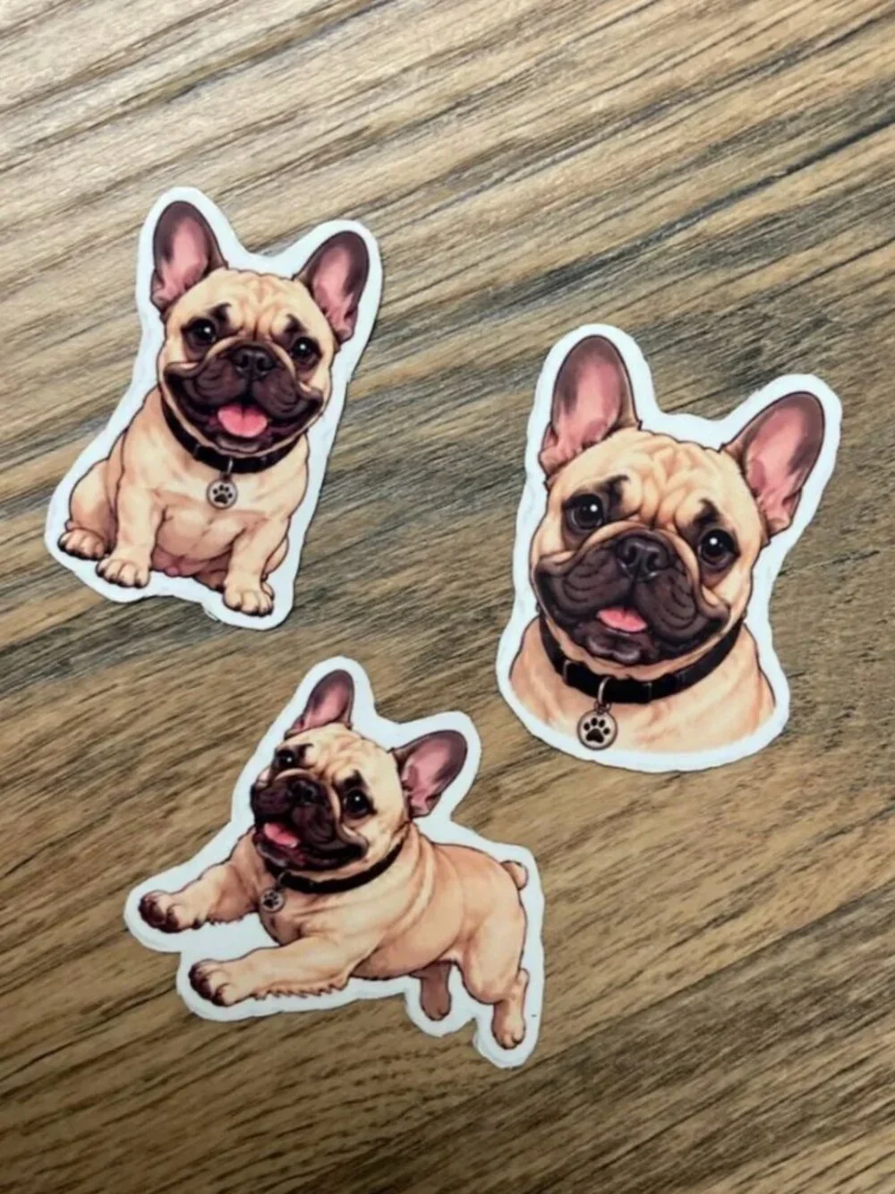 6 Flexible French Bulldog Dog Magnets 2 Sets Puppy Refrigerator Fridge Decor